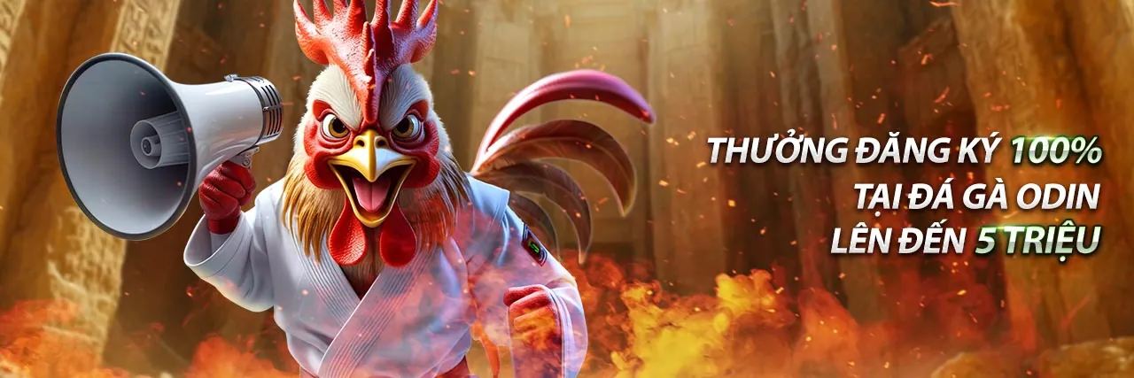 Hình ảnh tổng quan về cá cược thể thao yêu xin88 dành cho người mới bắt đầu